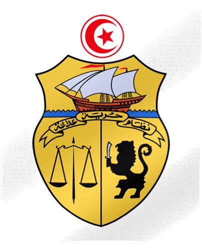 Tunisia Flag GIF | All Waving Flags