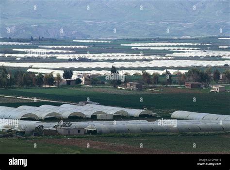 Jordan - Jordan River Valley Stock Photo - Alamy