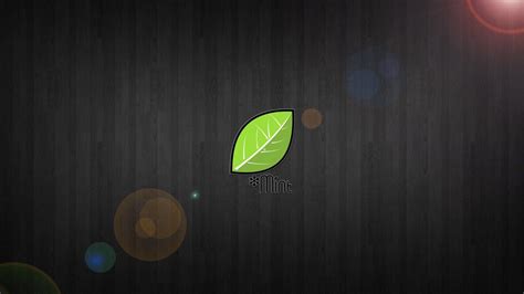 Linux Mint Wallpapers - Top Free Linux Mint Backgrounds - WallpaperAccess