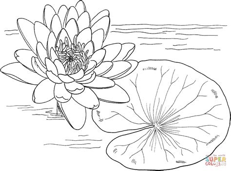 56978-monet-water-lilies-coloring-page.gif (1061×787) Water Lily Drawing, Lilies Drawing, Flower ...