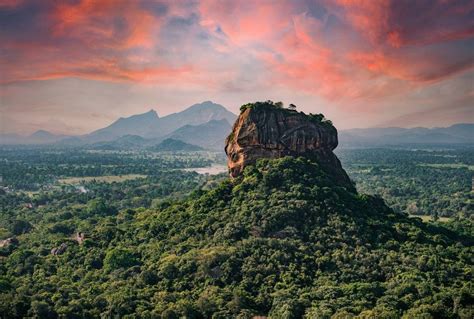 Sigiriya - Fly Catcher Trails