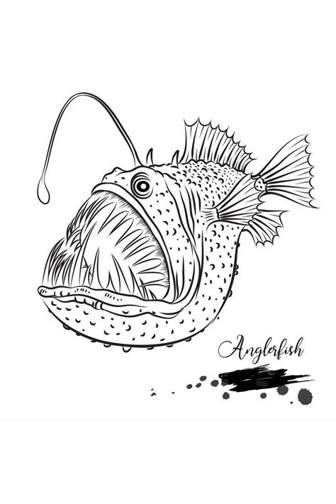 Angler fish – Artofit