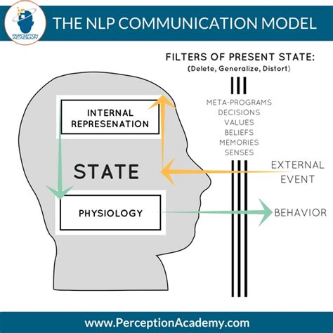 The NLP Model Of Perception - Perception Academy