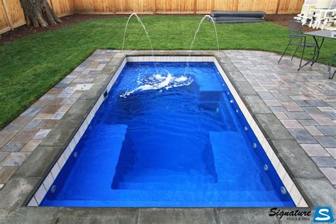 Palladium Plunge Model Pool from Leisure Pools | Signature ... | Plunge ...