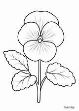 Pansy Coloring Pages Free Printable PDFs  WakeTheKids sketch template