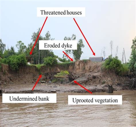 Typical river bank erosion in Tien River | Download Scientific Diagram