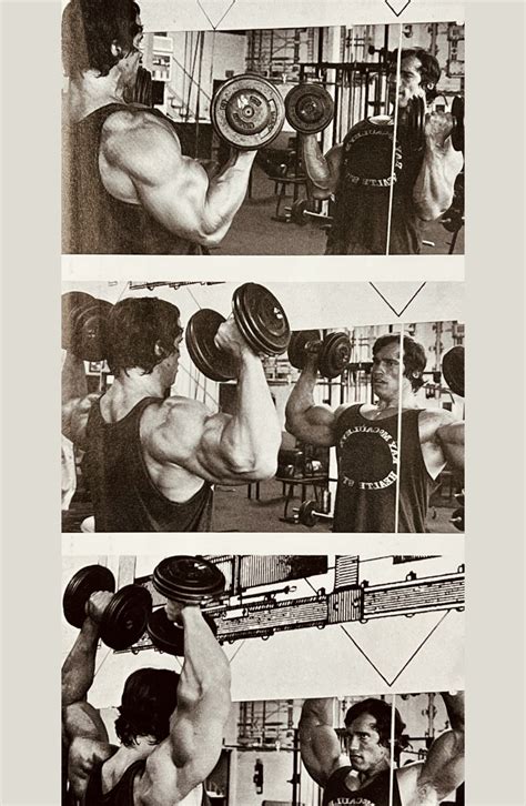 Arnold Press vs Shoulder Press for Size and Strength Gains