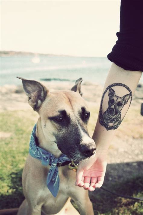 15 Animal Tattoo Ideas for Female - Pretty Designs