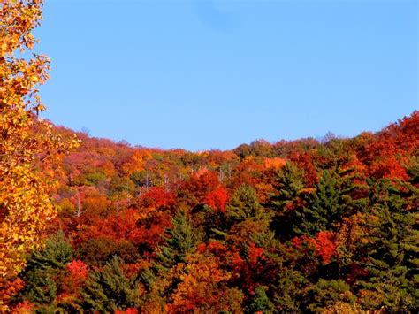 JOYFUL REFLECTIONS: Fall Colors on the Cherohala Skyway - Part III