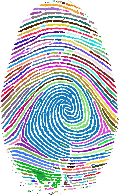 Fingerprint Footprint Clip art - finger print png download - 1406*2302 ...