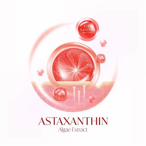 Premium Vector | Astaxanthin Algae Extract serum Skin Care Cosmetic