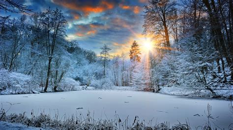 2048x1152 Sunbeams Landscape Snow In Winter Trees 4k 2048x1152 ...