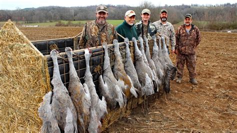 TWRA increases number of sandhill crane hunting permits