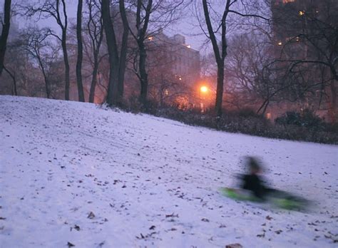 NYC ♥ NYC: Snowy Central Park