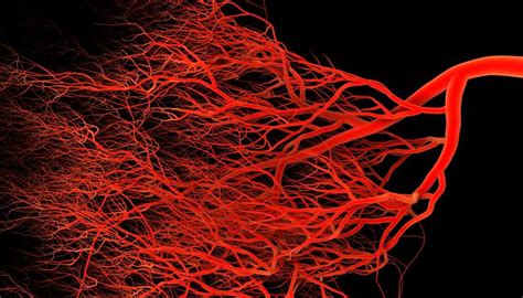 Leaky blood vessels may trigger Alzheimer's