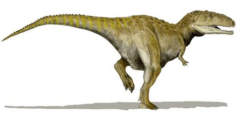 Mapusaurus