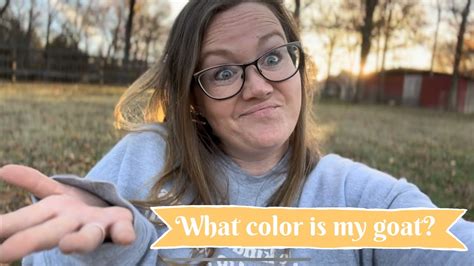 What color is my goat? - Let’s talk about color genetics - YouTube