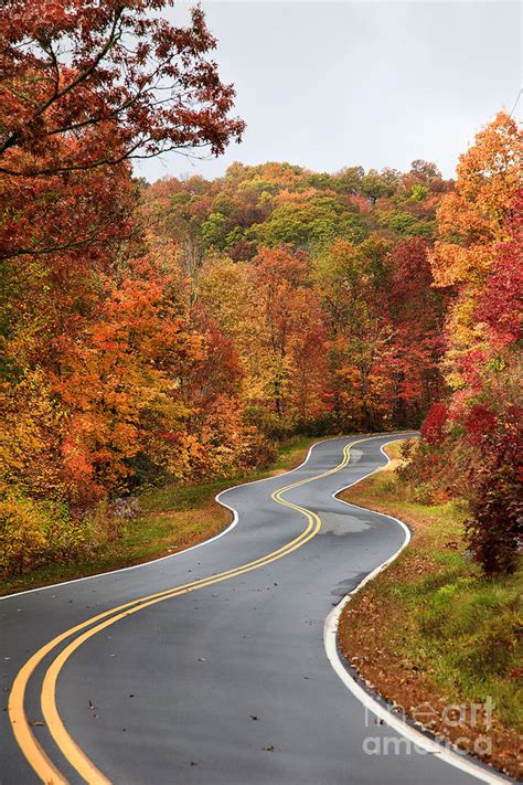 Fall Mountain Road Photograph by Jill Lang