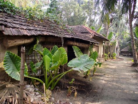 Bangladesh village in pictures showing life and beauty (2023)