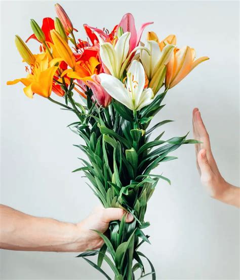 24 Flower Alternatives (as Gifts or In Your Garden)