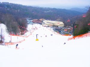 Ober Gatlinburg Slope Map