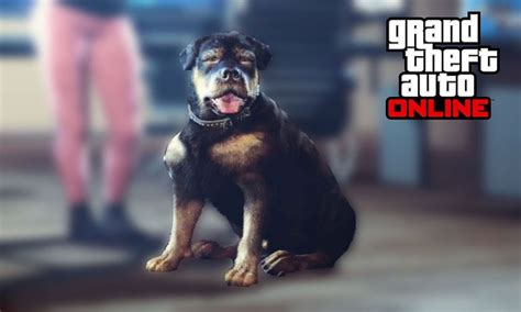 Chop from GTA 5: Here is what players need to know