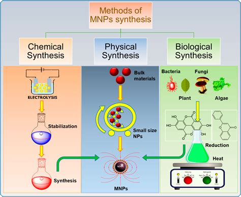 Frontiers | Review on Recent Progress in Magnetic Nanoparticles ...