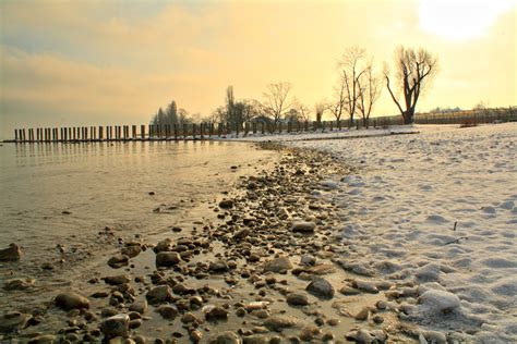 Winter am Bodensee Foto & Bild | landschaft, schweiz, winter Bilder auf ...