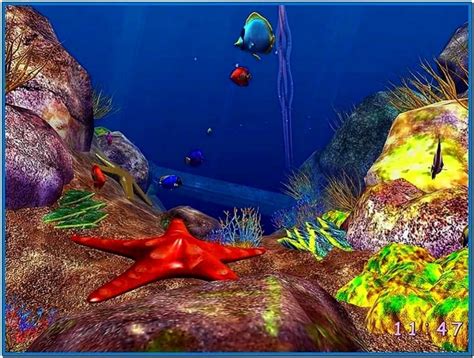 Tropical fish 3d screensaver full - Download free