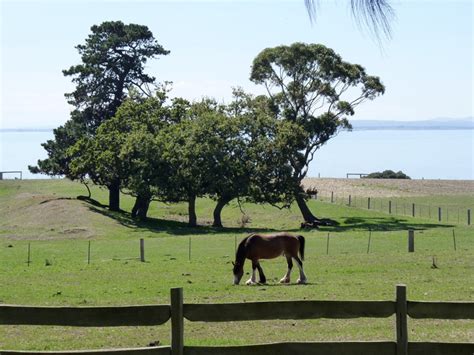 Pieces of Contentment: Churchill Island Heritage Farm