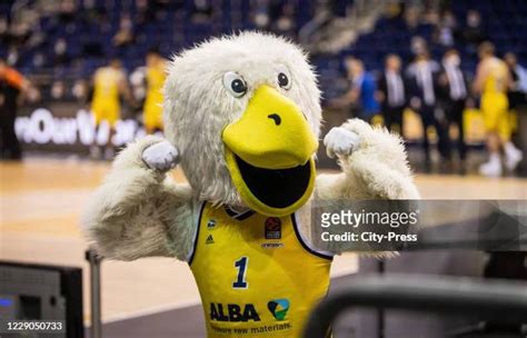 85 Mascot Albatros Stock Photos, High-Res Pictures, and Images - Getty Images