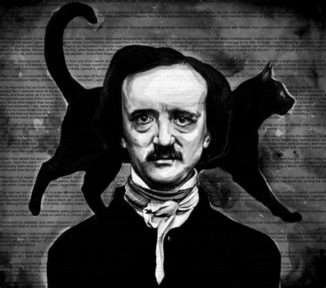 Edgar Allan Poe-the black cat by KlarEm on DeviantArt