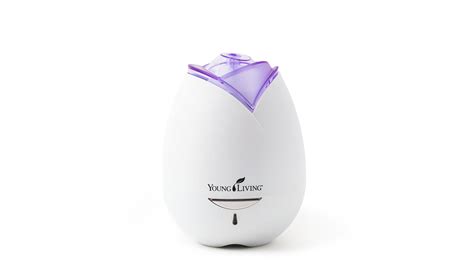 How to use your Young Living Diffuser | Essential Oily Life