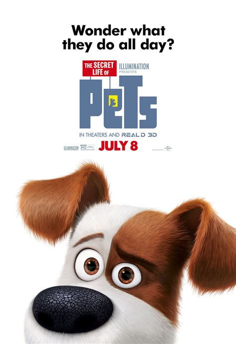 The Secret Life of Pets (#16 of 19): Extra Large Movie Poster Image - IMP Awards