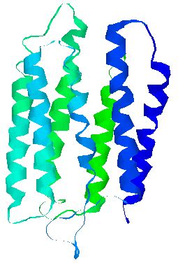 Structure of bacteriorhodopsin (PBD 1AP9). | Download Scientific Diagram