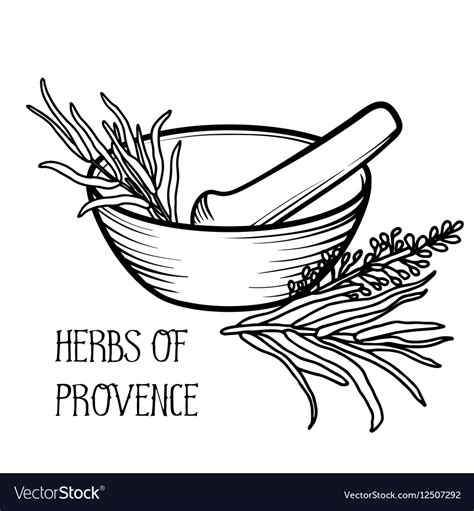 Mortar and pestle linear logo Royalty Free Vector Image