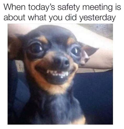 When today's safety meeting is about what you did yesterday - Meme by TaylorP :) Memedroid