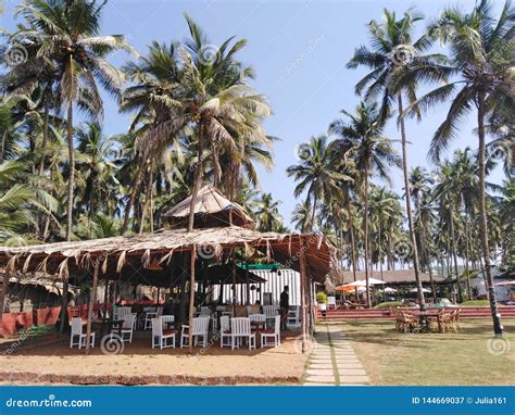 Morgim beach, Goa, India. editorial photography. Image of cafe - 144669037