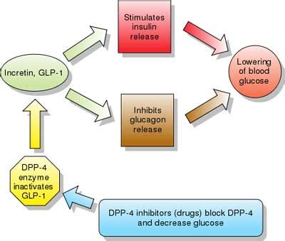 DPP-4 INHIBITORS - Dipeptidyl peptidase-4 inhibitor - Gliptins - GlobalRPH