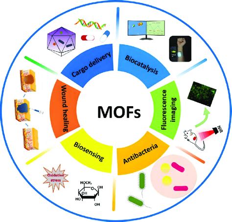 Applications of MOFs in the biomedical field. | Download Scientific Diagram