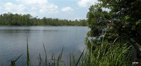 Alligator River National Wildlife Refuge