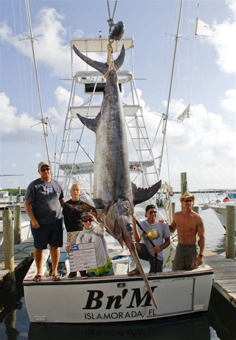 Big Fishes of the World: SWORDFISH (Xiphias gladius)