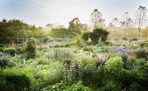 Martha Stewart's Colorful Perennial Garden | Martha Stewart