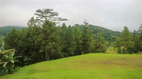 beautiful and amazing trees with cloudy sky 15744248 Stock Photo at ...