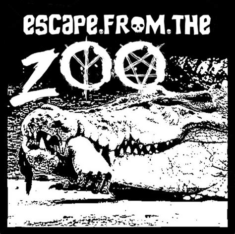 escape from the ZOO | Escape from the ZOO