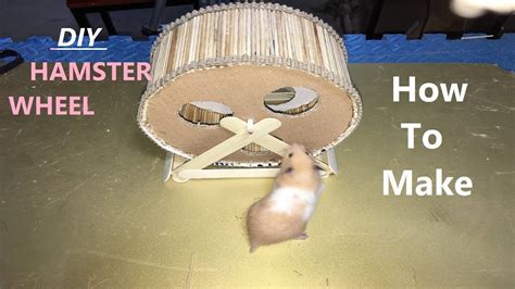 Hamster Wheel Stand Diy