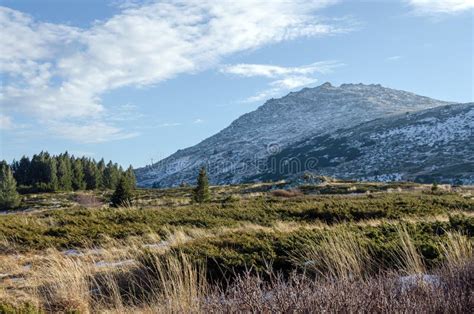 Vitosha National Park, Bulgaria Stock Image - Image of park, nature: 81342747