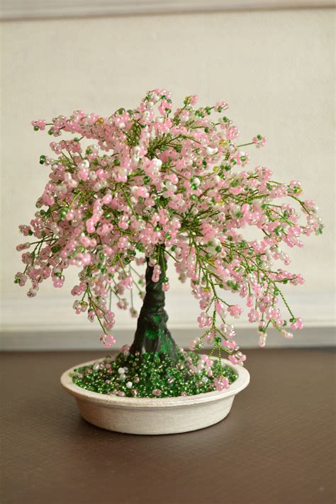 Cherry Blossom Bonsai Tree Sakura Bonsai Tree - Etsy UK