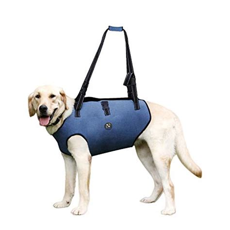 Compare Price: dog carrying harness - on StatementsLtd.com