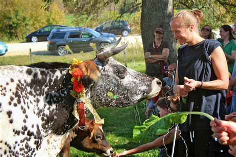 Squash Blossom Farm: Perfect Day for a Cow Puja